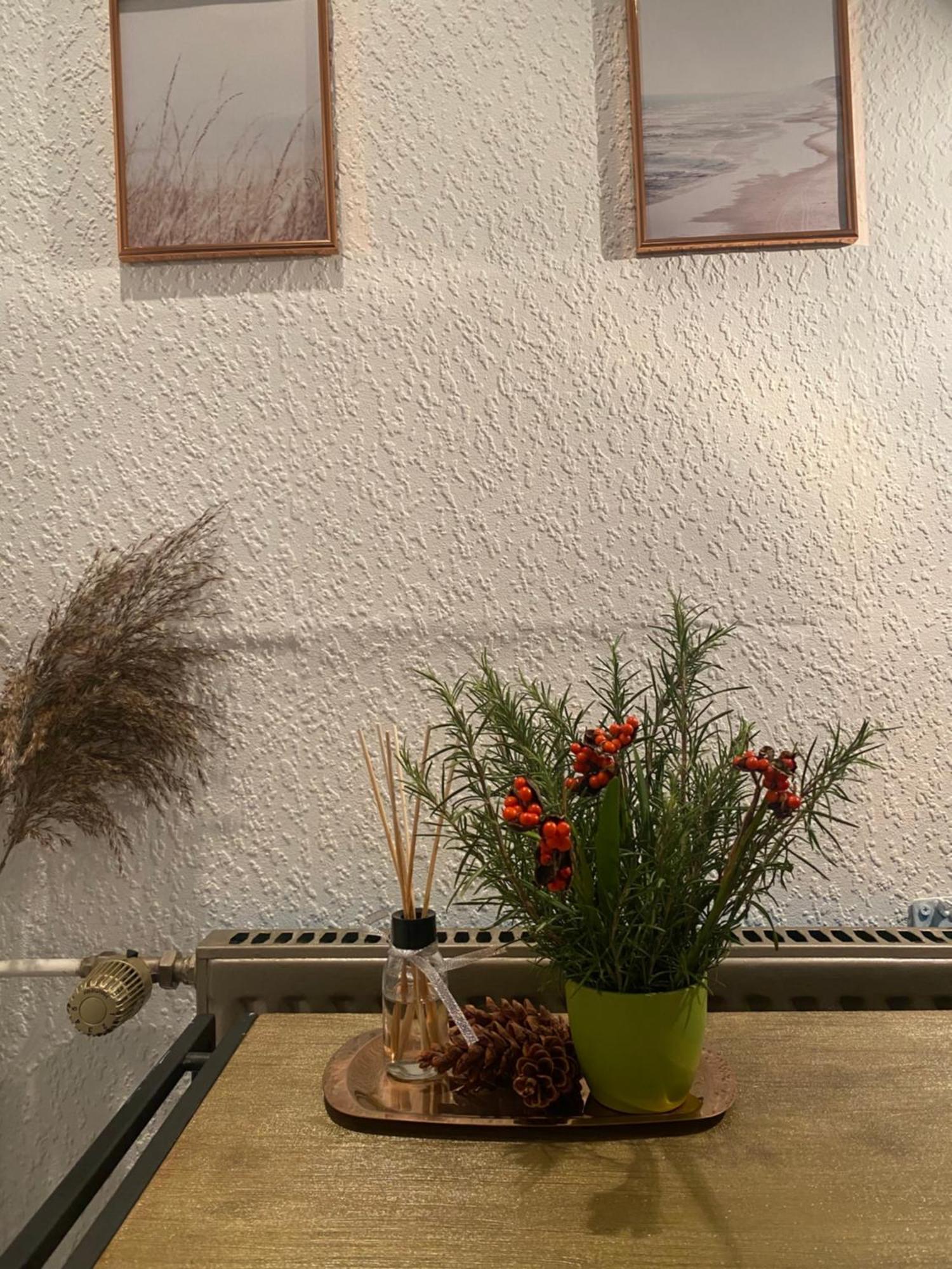 Alte Schmiede In Der Altstadt Von Sankt Goarshausen Kültér fotó